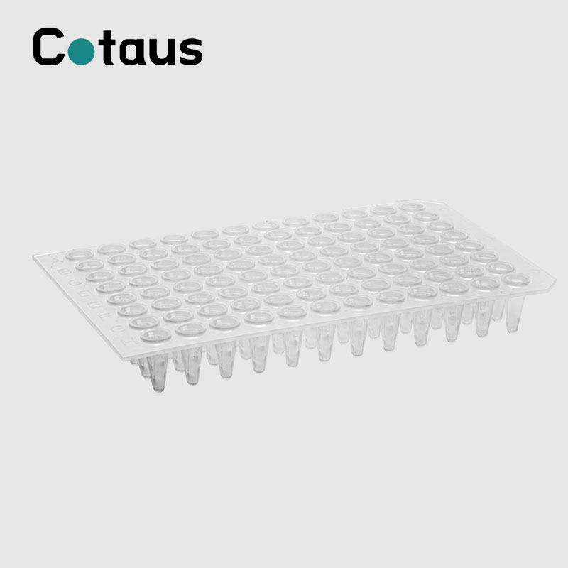 96 Well 0.2ml Transparent Akukho Skirt PCR Plate